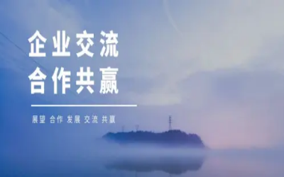 香港物联网商会莅临北京凯发K8锂考察研讨